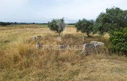Vale de Santiago, Odemira, Beja District 7630