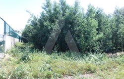 Cacia, Aveiro District