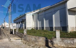 Alcanhões, Santarém 2000