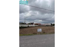 Branca, Aveiro District