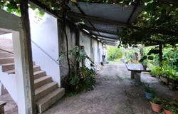 Cernache Do Bonjardim, Castelo Branco 6100