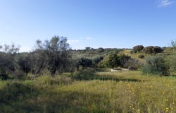 Hortinhas, Corval, Évora District 7200-081