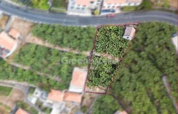 Ribeira Brava, Madeira 9350