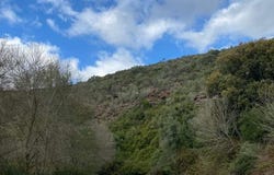 Beja, Beja District