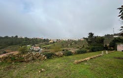 Meca, Lisbon