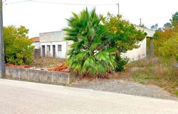 Cela, Leiria 2460