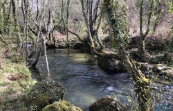 Tondela, Viseu 3460-391