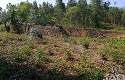 Leiria, Leiria District
