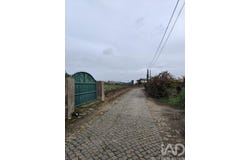 Braga, Braga