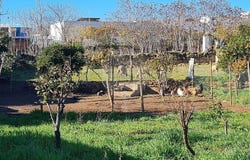 Évora, Évora District 7150