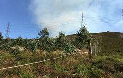 cimo da aldeia, Salamonde, Braga 4850-369