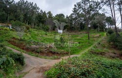 Santo António da Serra, Santa Cruz, Madeira 9100-255