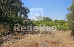 Santa Bárbara De Nexe, Algarve 8005