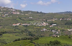 Peso da Régua, Vila Real District