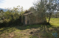 Miranda do Corvo, Coimbra 3220-244