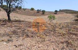 Faro, Algarve 8950