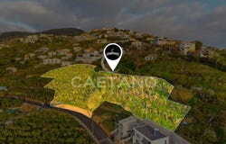 Ribeira Brava, Madeira 9350