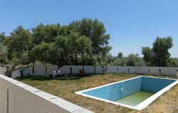 Salgueiro do Campo, Castelo Branco District