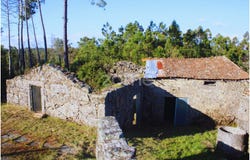 Mangualde, Viseu District