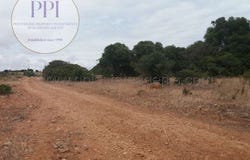 Vila do Bispo, Faro 8650-000