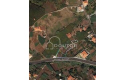 Campanário, Madeira