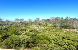 Sagres, Algarve 8650