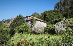 Cerdal, Viana Do Castelo 4930