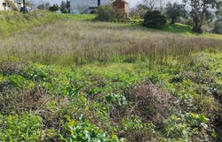 Pombal, Leiria District