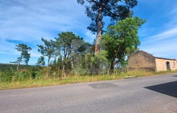 Caldas da Rainha, Leiria District