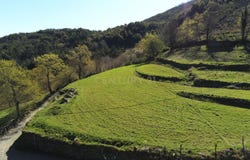 Ruivães e Campos, Braga