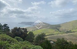 Porto Santo, Ilha de Porto Santo 9400