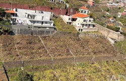 Ilha da Madeira, Madeira