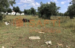 Abrantes (São Vicente e São João) e Alferrarede, Santarém District