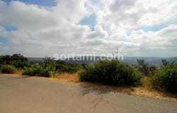Loule, Faro
