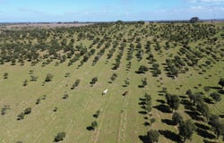 Aljustrel, Beja District 7600-301