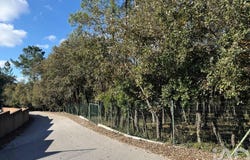 Leiria, Leiria District