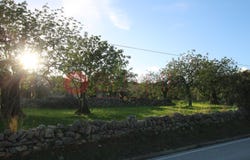 São Brás de Alportel, Algarve