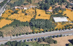 Viseu, Viseu District