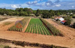 Rogil, Algarve 8670
