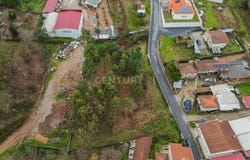 Oliveira, Braga