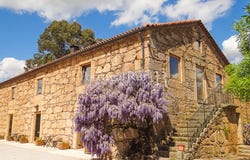 Ferro, Castelo Branco 6200