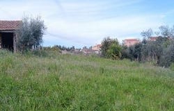 Pedrógão Grande, Leiria 3270-022