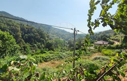 Braga, Braga 4840-050