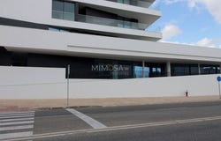Lagos, Faro