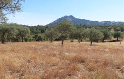 Idanha A Nova, Castelo Branco District