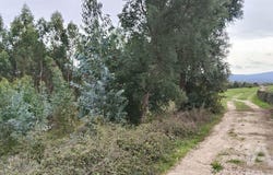 Leiria, Leiria District