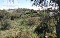 Vila do Bispo, Faro 8650-000
