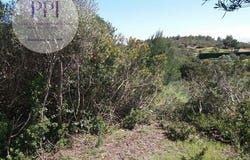 Vila do Bispo, Faro 8650-000