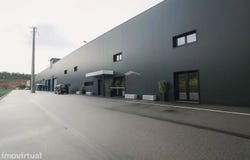 Raiva, Aveiro District