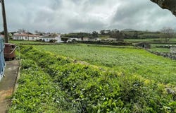 Ilha Terceira, Azores
